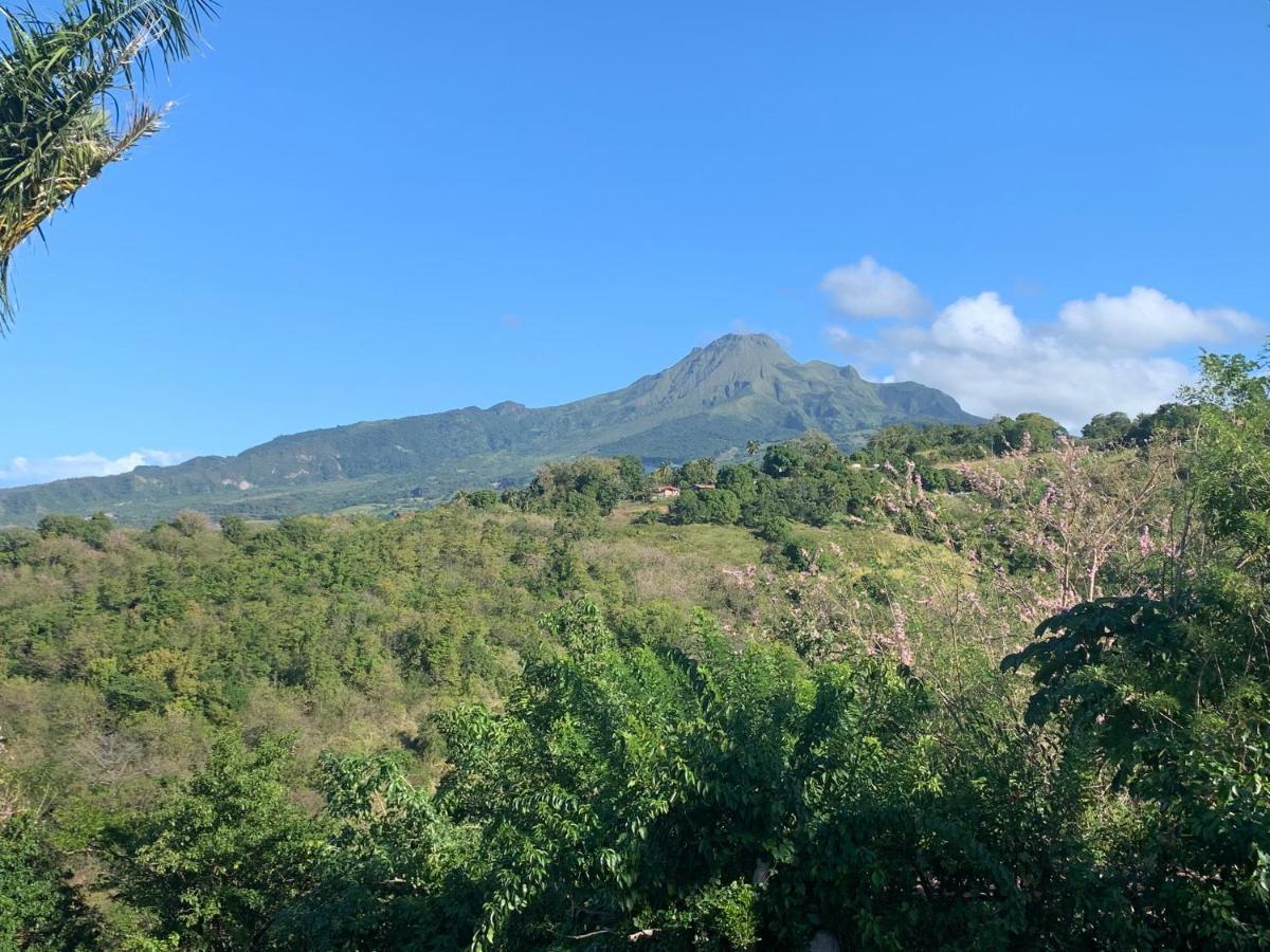 LODGE COLIBRIS vue panoramique mer et montagne pelée , 500 m plage dans un parc , Calme assuré Idéal pour découvrir le nord Caraïbes Le Carbet Exterior foto