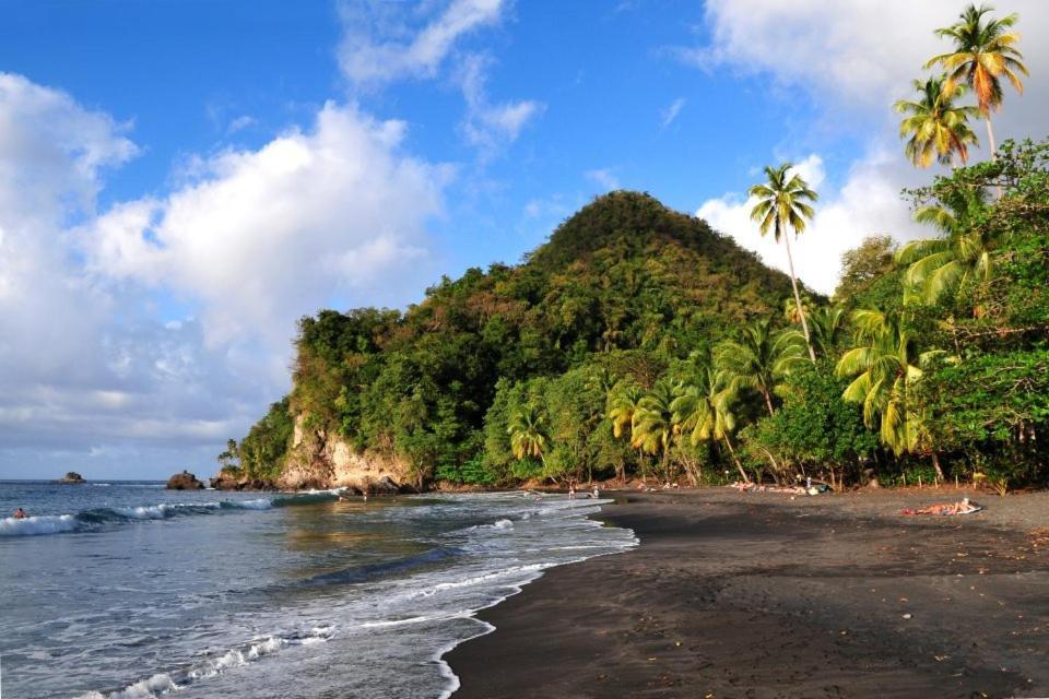 LODGE COLIBRIS vue panoramique mer et montagne pelée , 500 m plage dans un parc , Calme assuré Idéal pour découvrir le nord Caraïbes Le Carbet Exterior foto