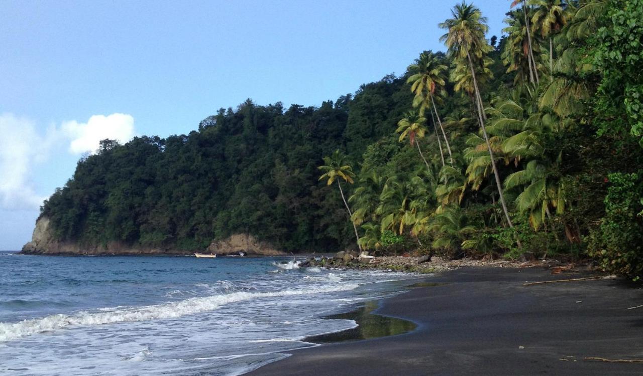 LODGE COLIBRIS vue panoramique mer et montagne pelée , 500 m plage dans un parc , Calme assuré Idéal pour découvrir le nord Caraïbes Le Carbet Exterior foto