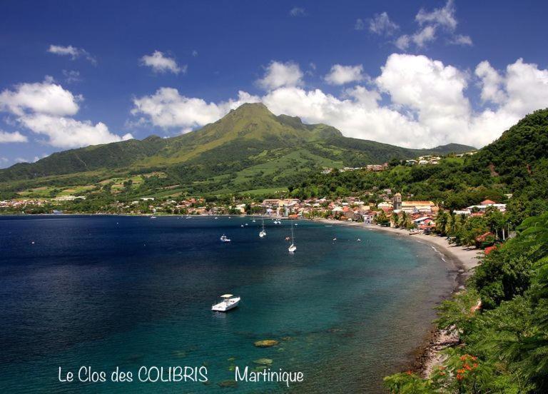 LODGE COLIBRIS vue panoramique mer et montagne pelée , 500 m plage dans un parc , Calme assuré Idéal pour découvrir le nord Caraïbes Le Carbet Exterior foto